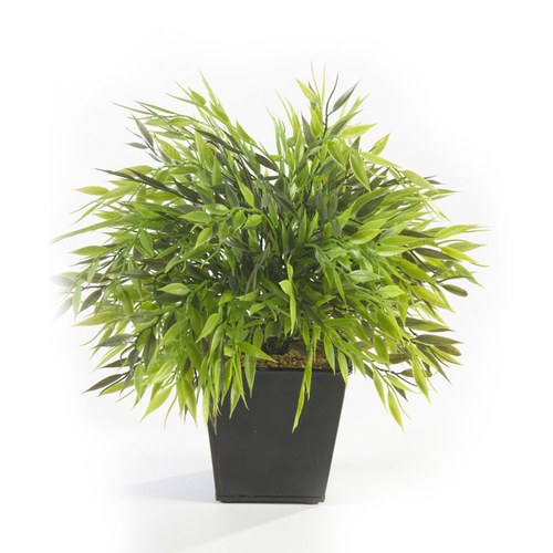 荷蘭 Emerald 觀賞用竹叢人造盆栽