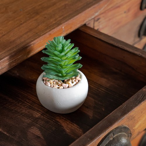 荷蘭Emerald人造植栽 艷日傘多肉植物