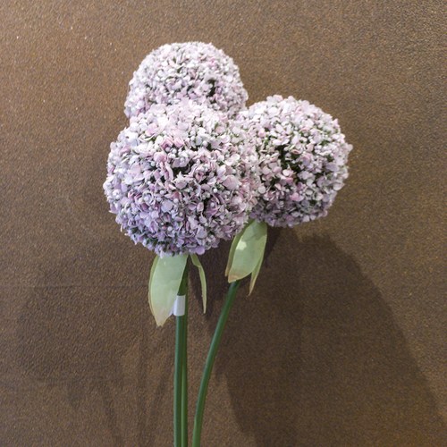 荷蘭Emerald人造花藝 紫色大花葱 (長70公分)