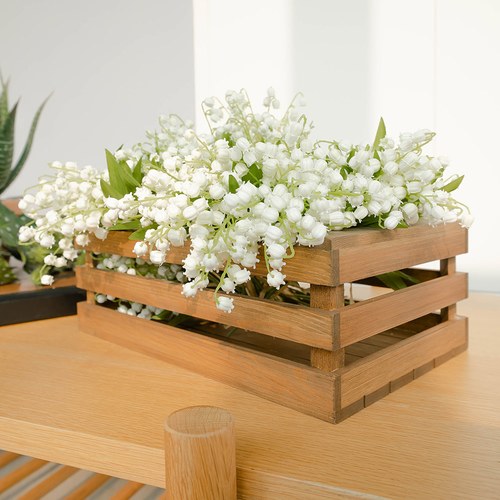 荷蘭Emerald人造植物 白色風鈴草