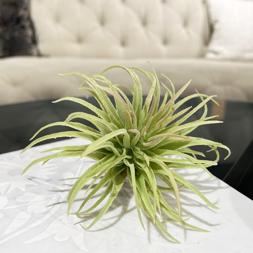 荷蘭Emerald人造植物 空氣鳳梨 (長12公分)