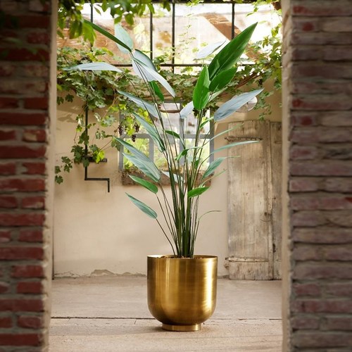 荷蘭Emerald人造植栽 蠍尾蕉綠葉叢 (高175公分)