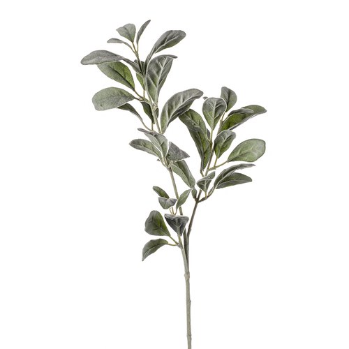 荷蘭 Emerald人造植物 銀葉菊