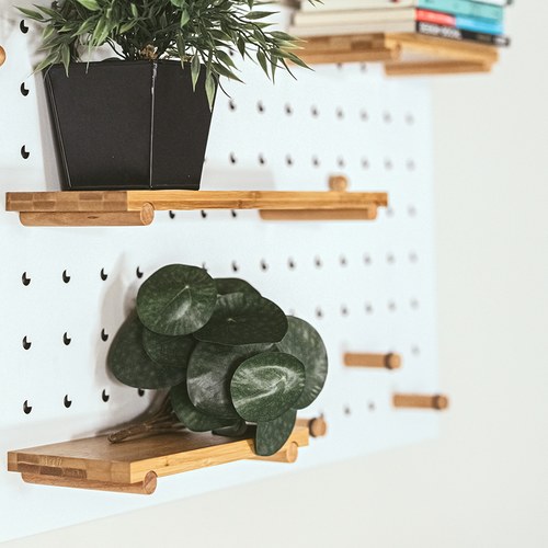 荷蘭 Emerald人造植物 鏡面草