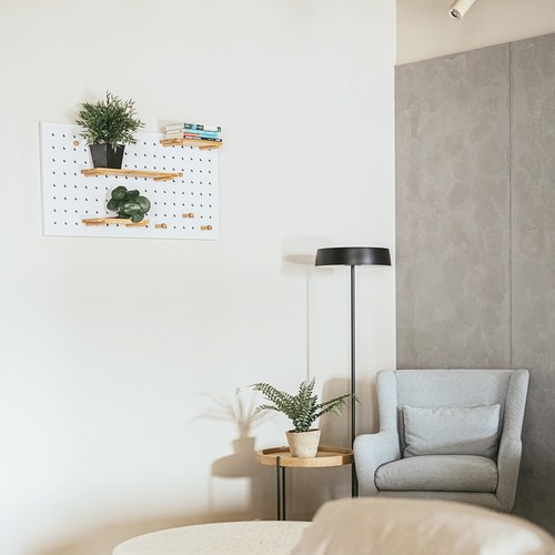 荷蘭 Emerald人造植物 鏡面草