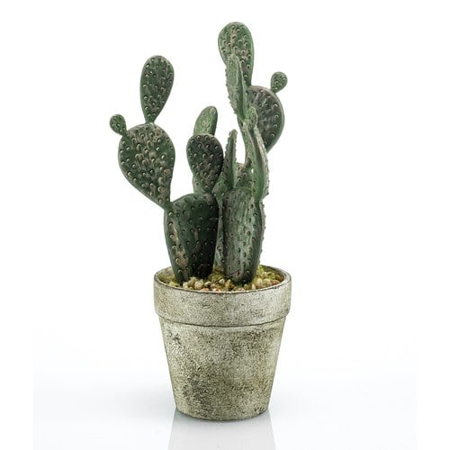 荷蘭Emerald人造植栽 扁平仙人掌