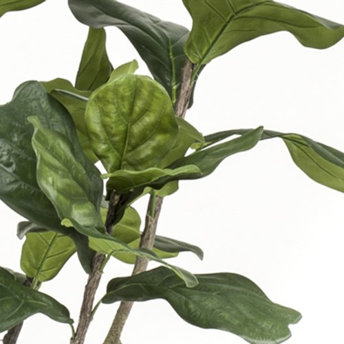 荷蘭Emerald人造植栽 琴葉榕(210公分)