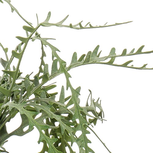 荷蘭Emerald人造植栽 曇花仙人掌(膠盆、50公分)