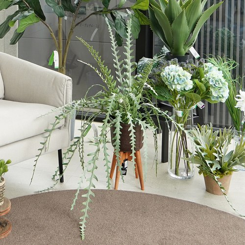 荷蘭Emerald人造植栽 曇花仙人掌(膠盆、50公分)