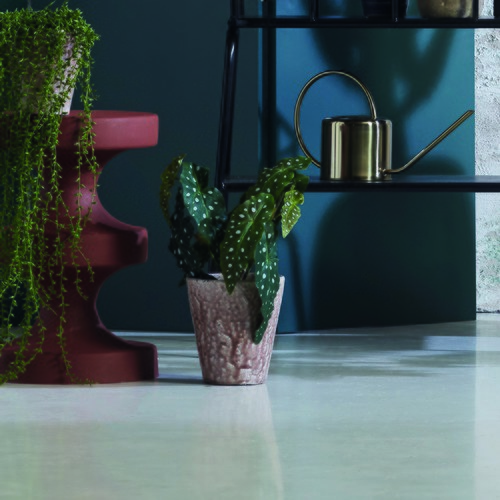 荷蘭Emerald人造植物 銀星秋海棠(30公分)