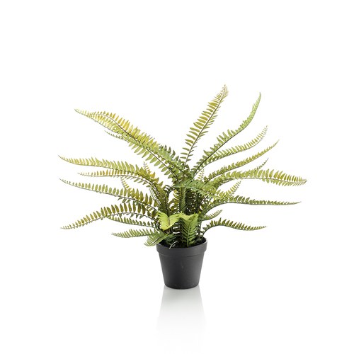 荷蘭Emerald人造植栽 羊齒蕨 (膠盆、55公分)