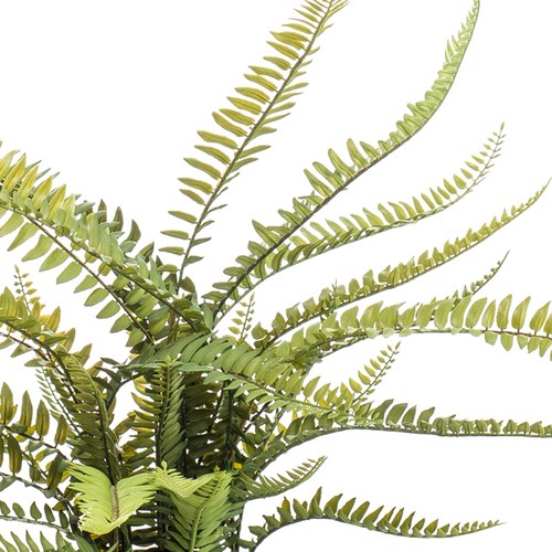 荷蘭Emerald人造植栽 羊齒蕨 (膠盆、55公分)
