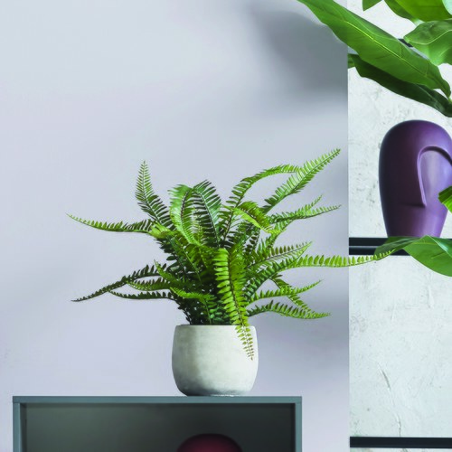 荷蘭Emerald人造植栽 羊齒蕨 (膠盆、55公分)