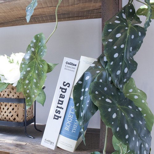 荷蘭Emerald人造植物 銀星秋海棠(120公分)