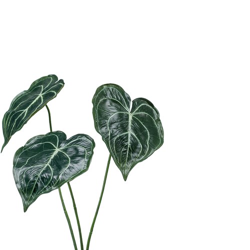 荷蘭Emerald人造植物 圓葉花燭(62公分)