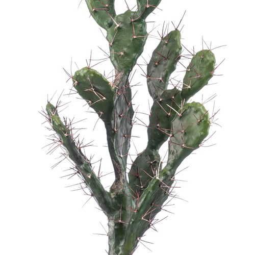 荷蘭Emerald人造植栽 以色列仙人掌 (灰盆、80公分)