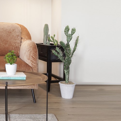 荷蘭Emerald人造植栽 以色列仙人掌 (灰盆、80公分)