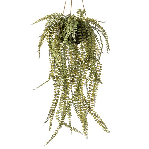 荷蘭Emerald人造植栽 垂墜羊齒蕨 (吊掛、95公分)