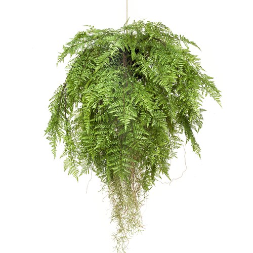 荷蘭Emerald人造植栽 垂墜羊齒蕨 (吊掛、80公分)