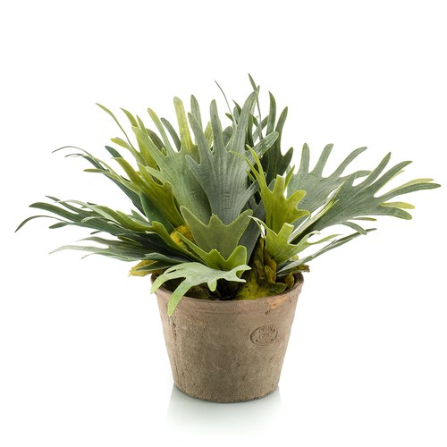 荷蘭Emerald人造植栽 鹿角蕨 (泥盆、38公分)