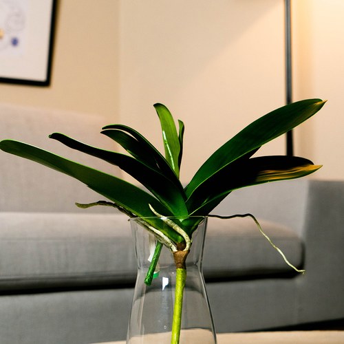 荷蘭Emerald人造植物 蝴蝶蘭葉 (長30公分)