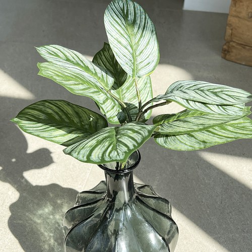 荷蘭Emerald人造植栽 蘋果竹芋葉片 (五株、74公分)