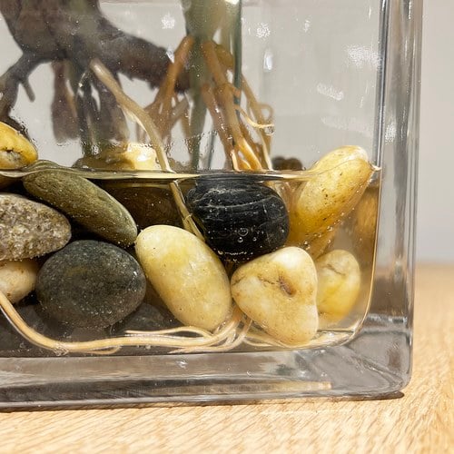 荷蘭Emerald人造植栽 龜背芋水培盆 (45公分)