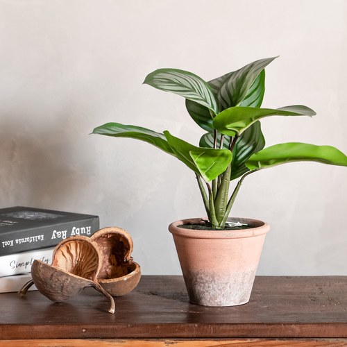 荷蘭Emerald人造植栽 青蘋果竹芋 (紅盆、32公分)