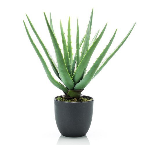荷蘭Emerald人造植栽 蘆薈 (黑盆、35公分)