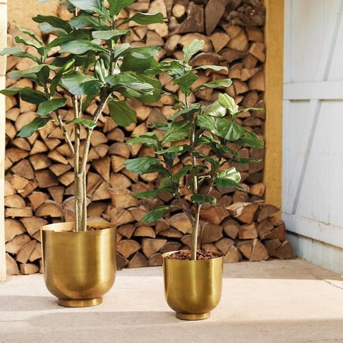 荷蘭Emerald人造植栽 琴葉榕(120公分)