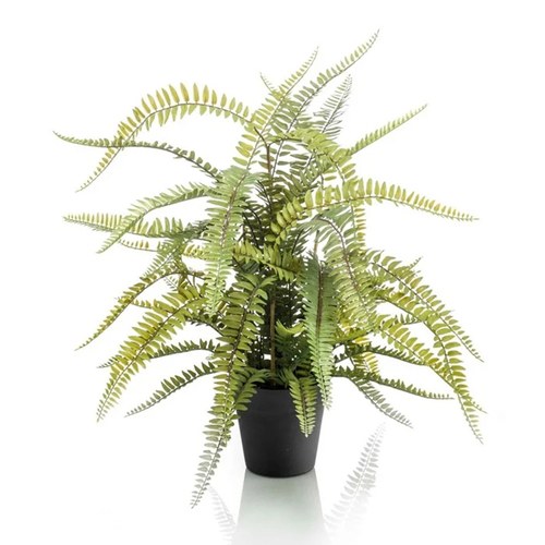 荷蘭Emerald人造植栽波士頓蕨 (70公分)