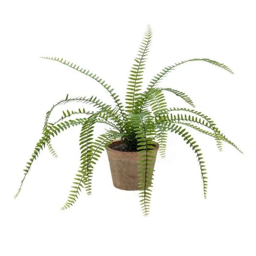 荷蘭Emerald人造植栽波士頓蕨 (高50公分)