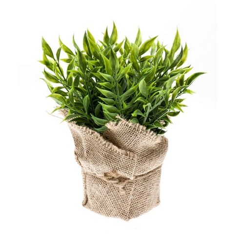 荷蘭Emerald人造植栽金絲草 (高度20公分)