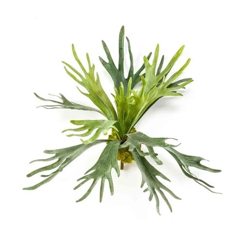 荷蘭Emerald人造植物鹿角蕨 (長48公分)