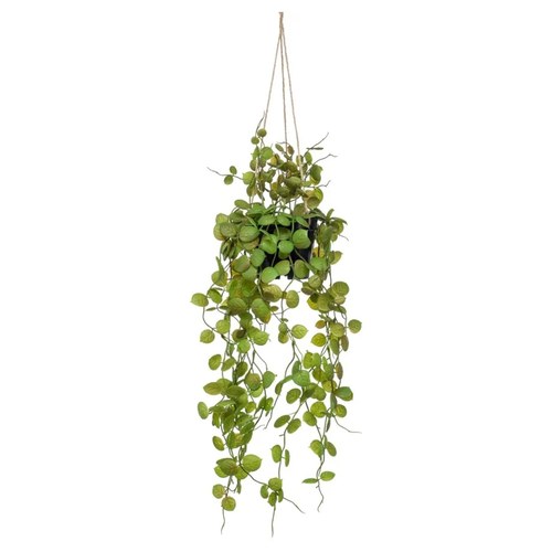 荷蘭Emerald人造植物串錢藤 (長65公分)