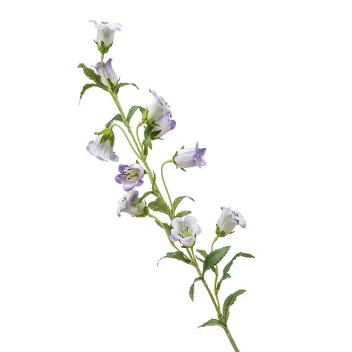 荷蘭Emerald人造花藝 風鈴草-淺紫 (88cm)