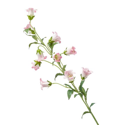 荷蘭Emerald人造花藝 風鈴草-粉色 (88cm)