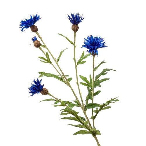 荷蘭Emerald人造花藝 矢車菊-藍色 (60cm)