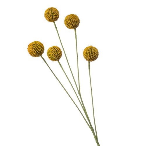 荷蘭Emerald人造花藝 金杖球-黃色 (72cm)