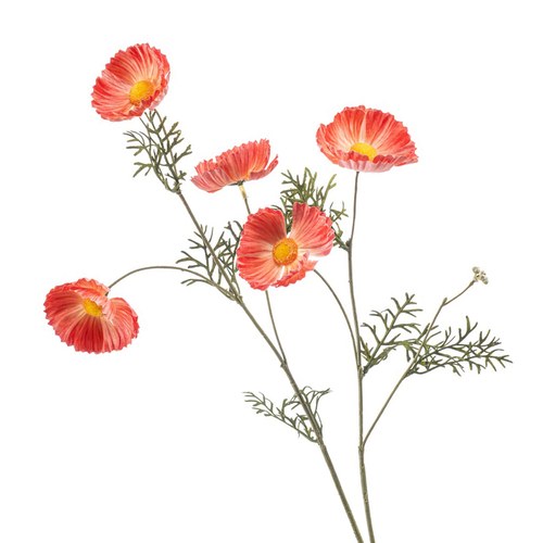 荷蘭Emerald人造花藝 大波斯菊-橘色 (70cm)