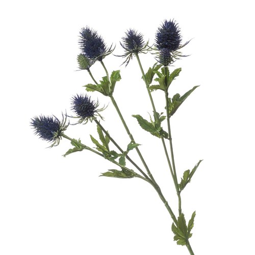 荷蘭Emerald人造花藝 刺芹-藍色 (70cm)