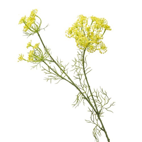 荷蘭Emerald人造花藝 蒔蘿花-黃色 (87cm)