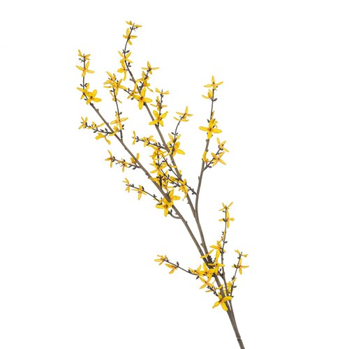 荷蘭Emerald人造花藝 連翹花-黃色 (110cm)