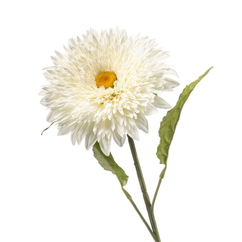 荷蘭Emerald人造花藝 太陽花-白色 (65cm)