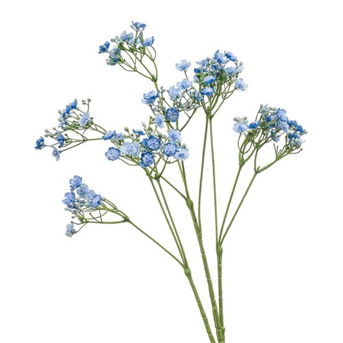 荷蘭Emerald人造花藝 滿天星-藍色 (68cm)