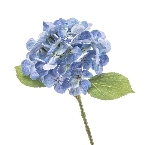 荷蘭Emerald人造花藝 繡球花-藍色 (47cm)