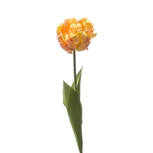 荷蘭Emerald人造花藝 巴黎鬱金香-黃桃色 (66cm)