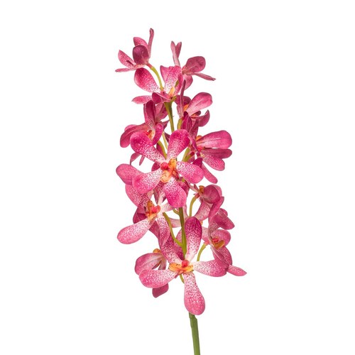 荷蘭Emerald人造花藝 萬代蘭-粉色 (80cm)
