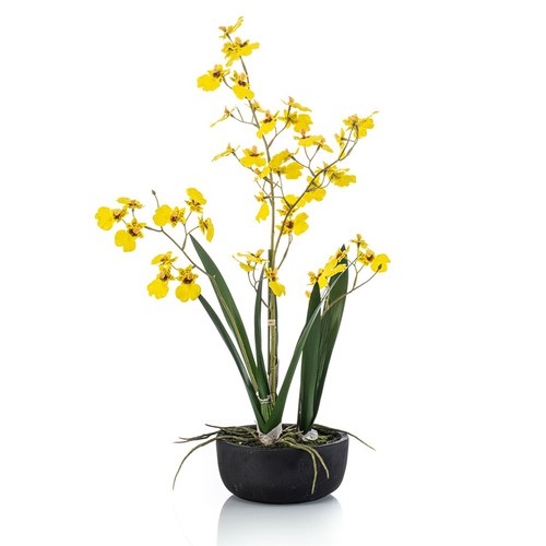 荷蘭Emerald人造花藝 文心蘭盆栽-黃色 (58cm)