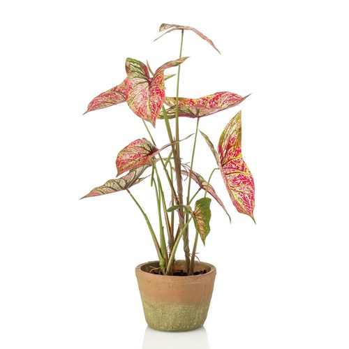 荷蘭Emerald人造植物 彩葉芋紅綠色-陶盆 (60cm)